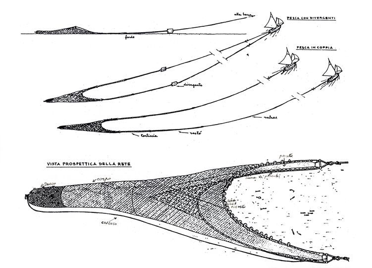 Tipologie di pesca tradizionale con paranza. Collezione Fanesi
