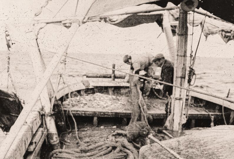 Recupero del sacco con il pescato in una foto d’epoca. Collezione Fanesi