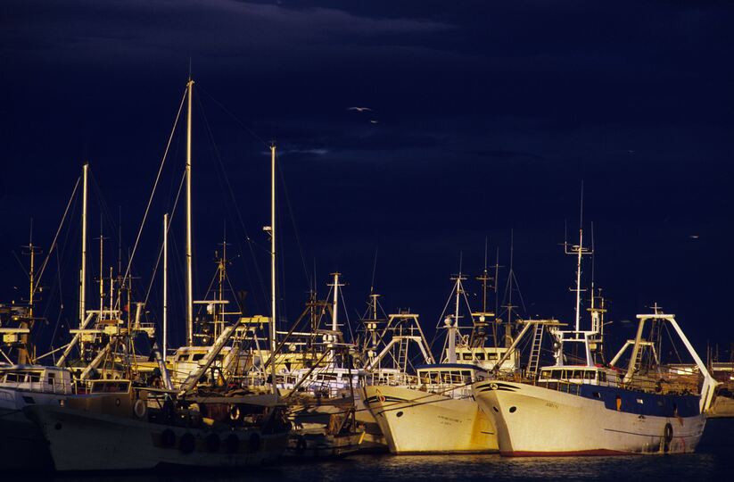 Motopescherecci ormeggiati nel porto-canale di Pescara. Foto Roberto Monasterio, Arch. CARSA Edizioni
