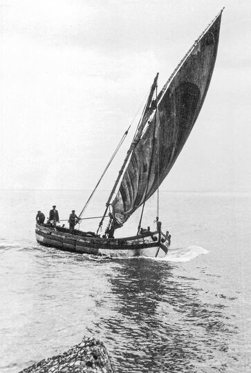 Paranza in navigazione in una foto degli anni ’30. A Francesco Feola